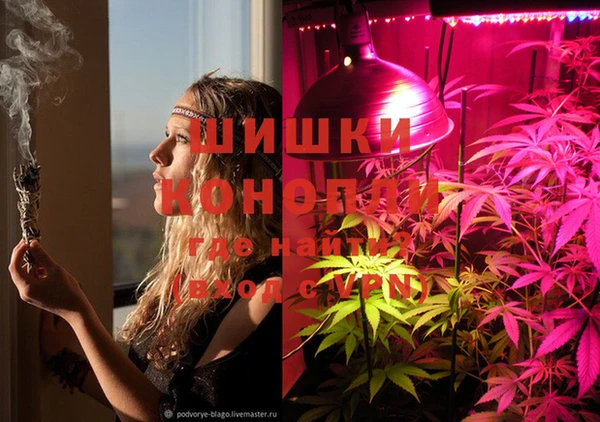 гашик Няндома