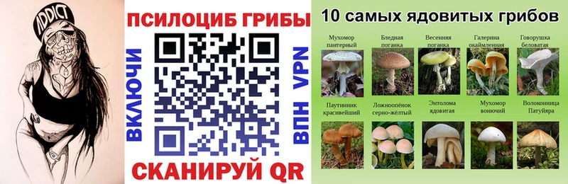 Псилоцибиновые грибы GOLDEN TEACHER купить Горячеводский